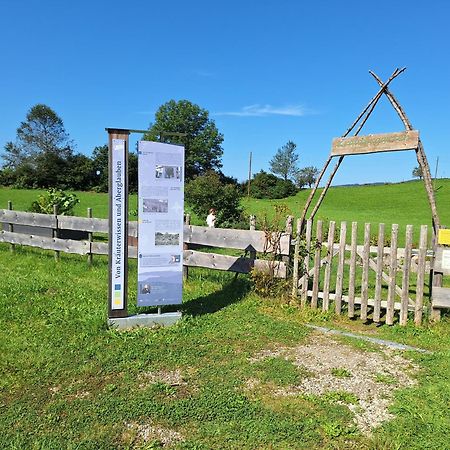 Fewo Allgaeuerle1605 Mit Hallenbad, Sauna, Tiefgarage Und Wlan Missen-Wilhams Εξωτερικό φωτογραφία