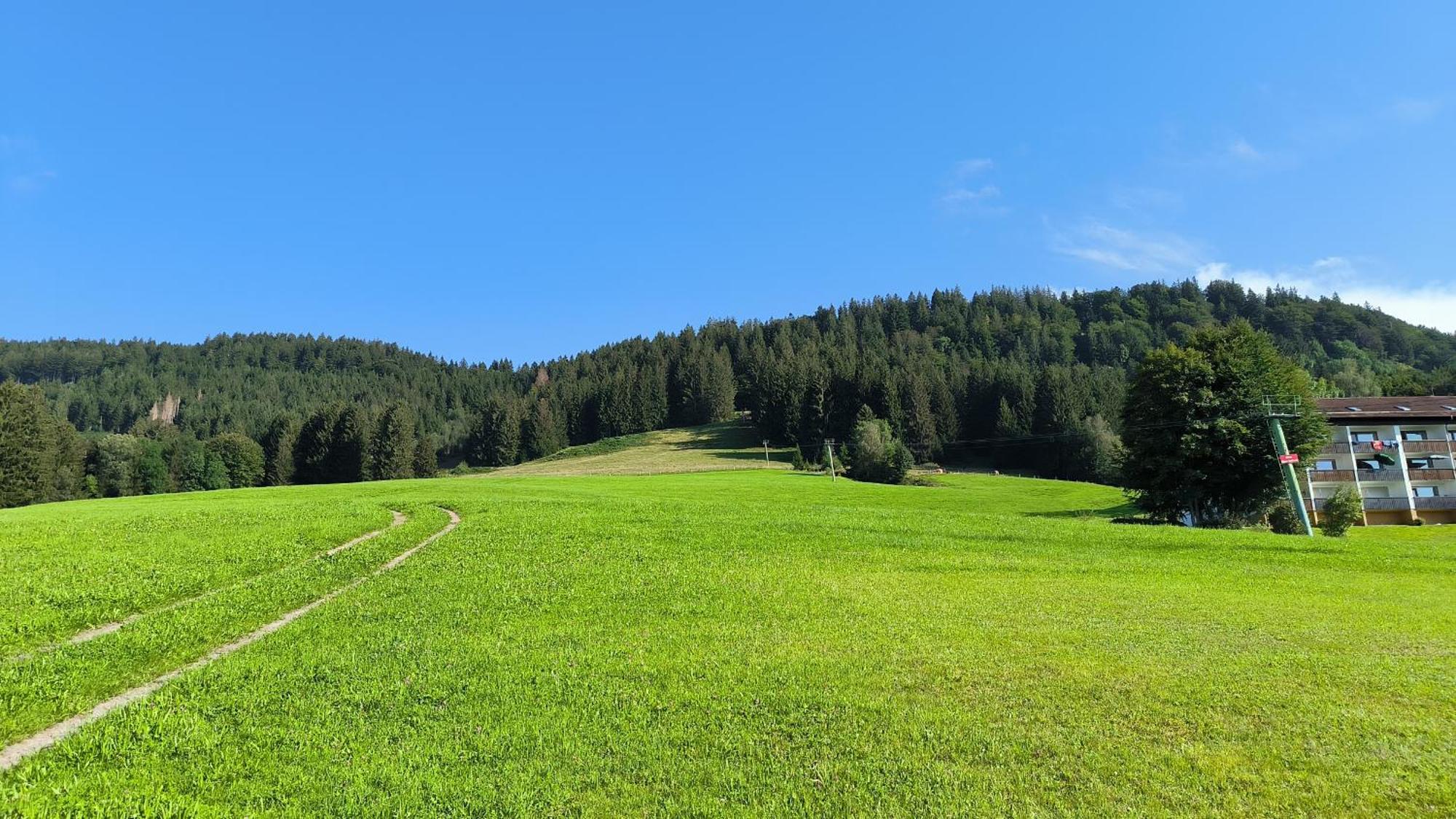 Fewo Allgaeuerle1605 Mit Hallenbad, Sauna, Tiefgarage Und Wlan Missen-Wilhams Εξωτερικό φωτογραφία